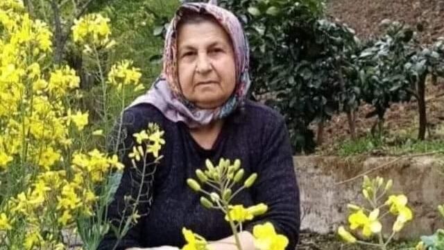 Ayşe teyze yakacak topluyordu! Tarifsiz acı!