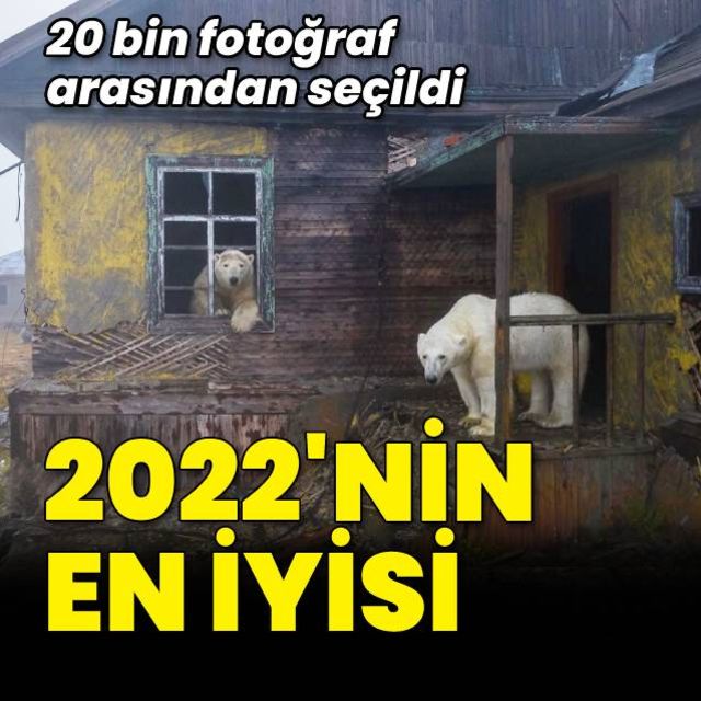 2022 nin en iyi doğa fotoğrafları açıklandı