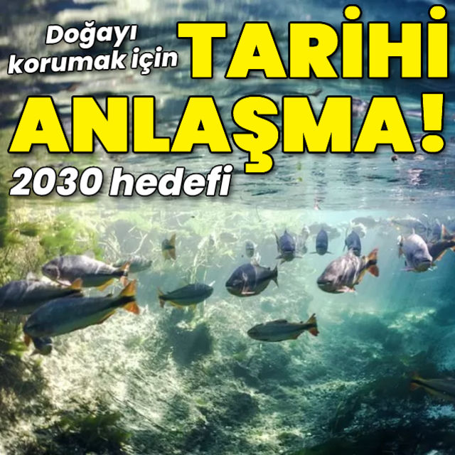 Biyoçeşitlilik Konferansı Doğayı korumak için tarihi anlaşma