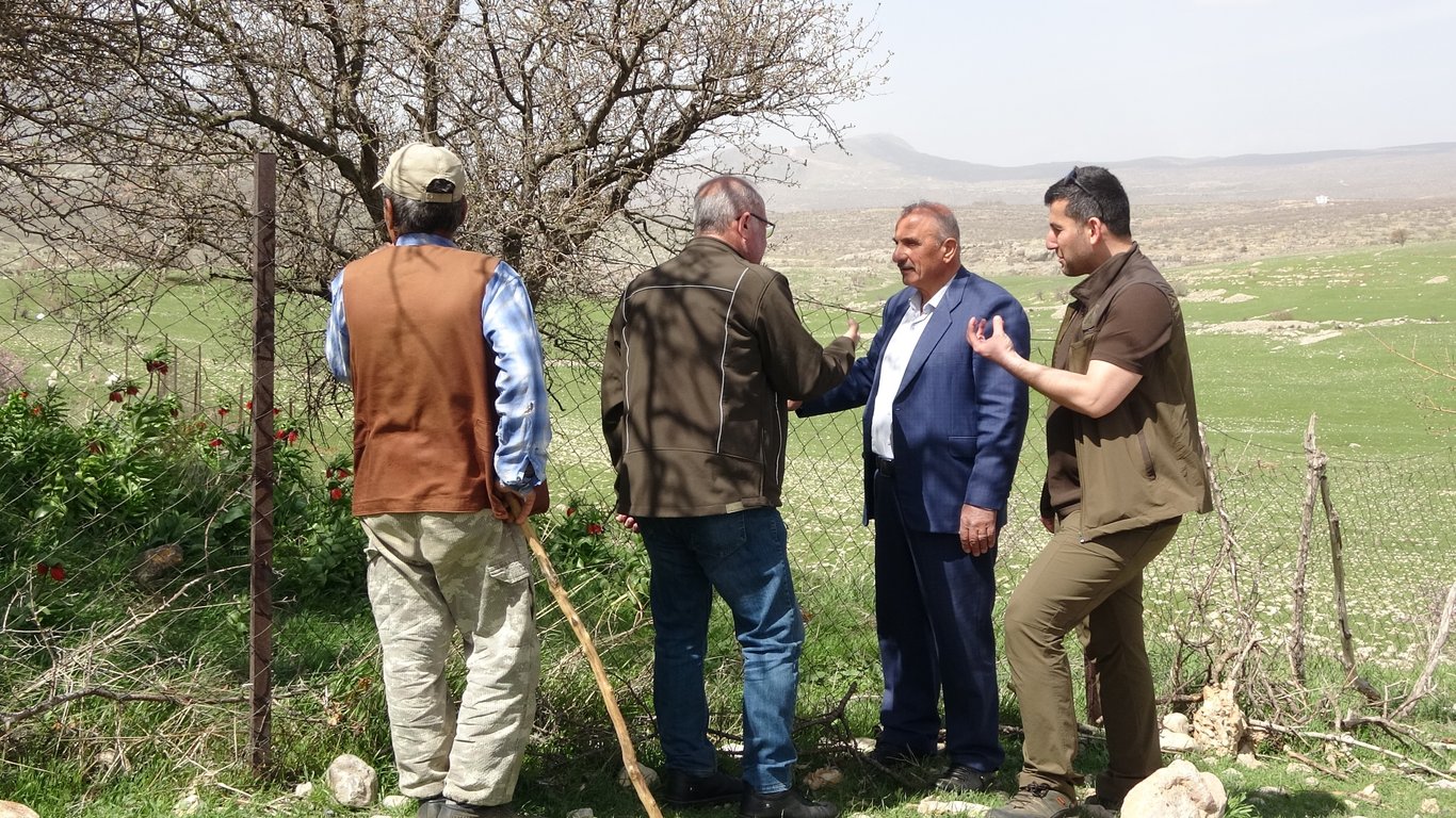 Siirtliler yılda sadece 20 gün açan ağlayan gelinler için seferber oldu