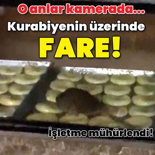 O anlar kamerada İşletme mühürlendi Kurabiyenin üzerinde fare