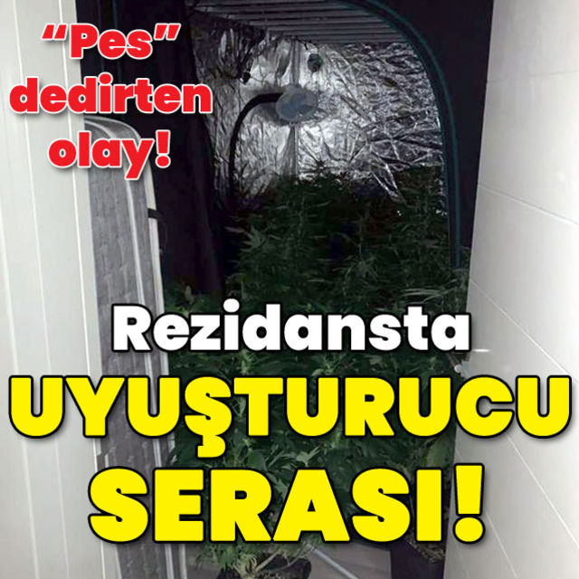 Pes" dedirten olay! Rezidansta uyuşturucu serası!