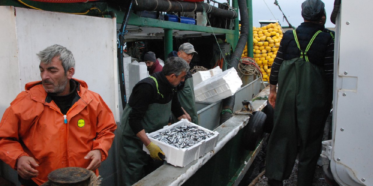 Amasra da rötarlı hamsi avı başladı 375 ton