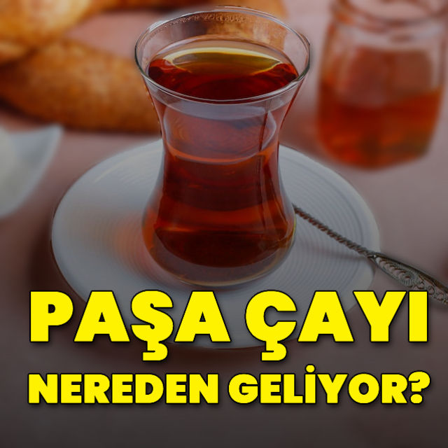 Paşa Çayı nereden geliyor