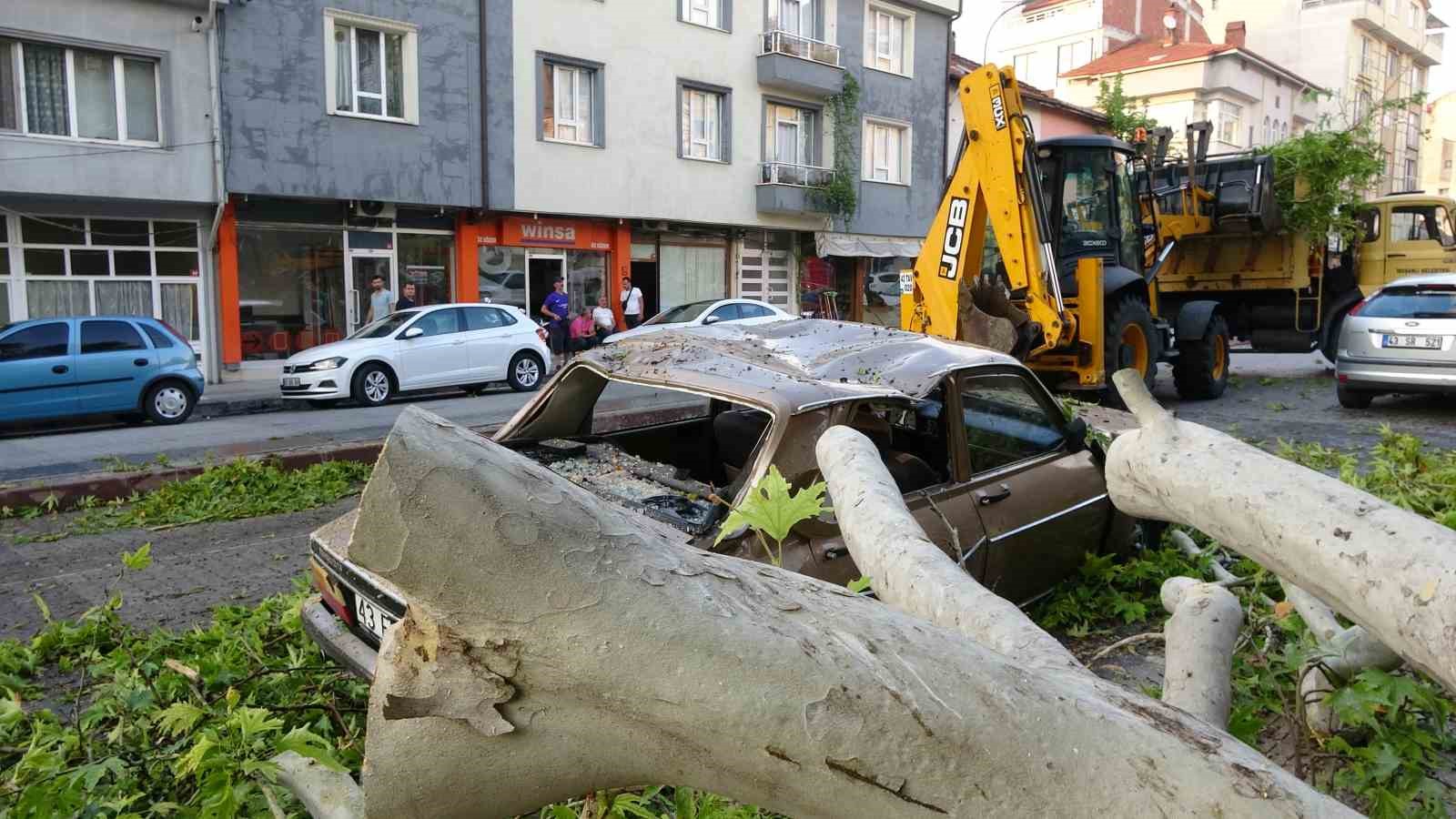 Tavşanlı da asırlık ağacın dalı kırılarak araçların üzerine düştü