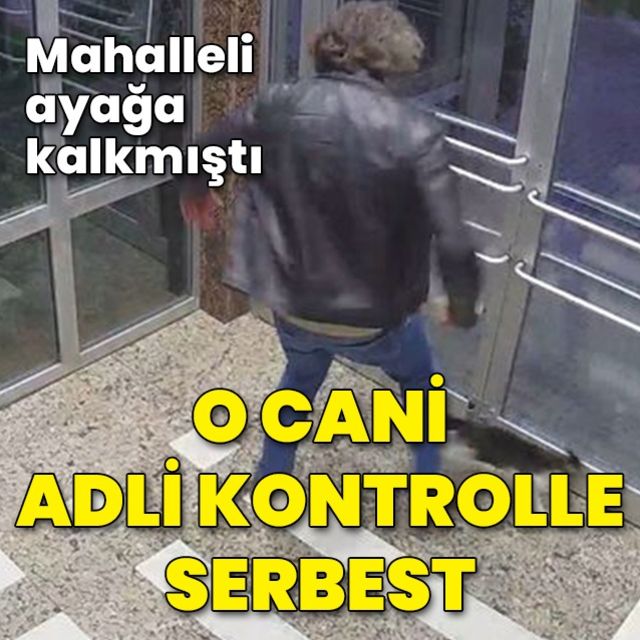 Büyük tepki çekmişti! Adliyeye sevk edilen kedi düşmanı adli kontrolle serbest bırakıldı