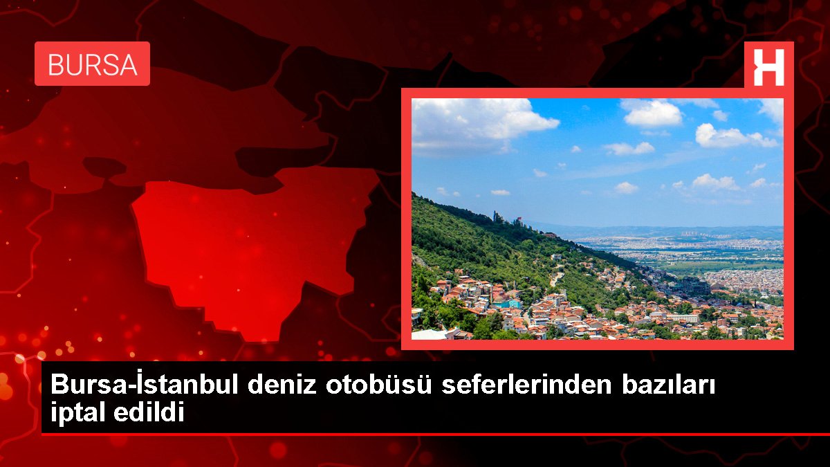 Bursa İstanbul deniz otobüsü seferlerinden bazıları iptal edildi