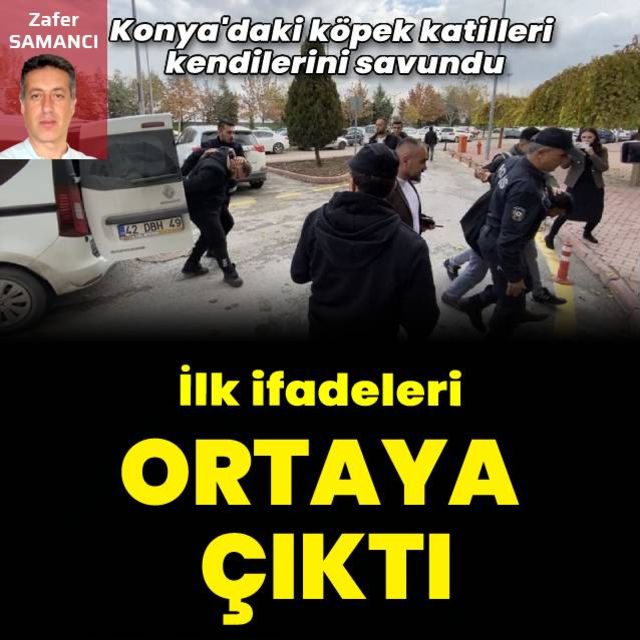 Konya da bir köpeğin acımasızca öldürülmesiyle ilgili tutuklanan zanlıların ilk ifadeleri ortaya çıktı