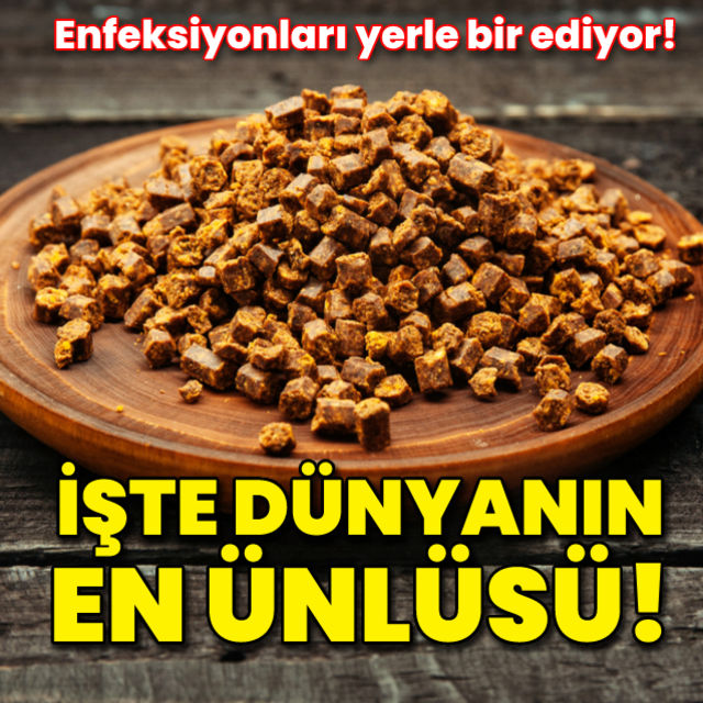 Kanser yara ve uçuk tedavisinde bir numara olan dünyanın en ünlü doğal antibiyotiği