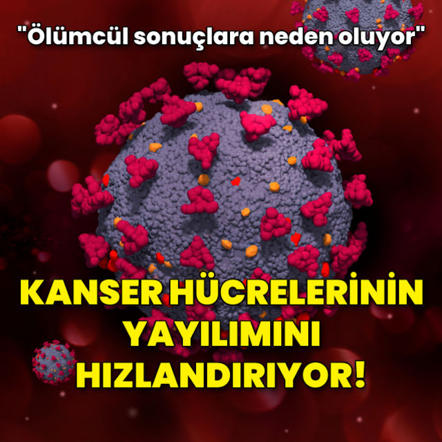 Koronavirüsün kanser hücrelerinin yayılımını hızlandırdığı ortaya çıktı