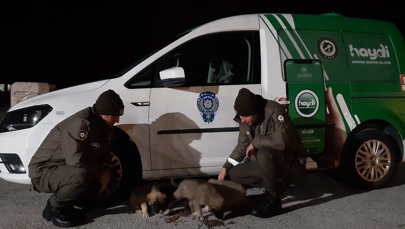 Uşak polisinden sokak hayvanları için seferberlik