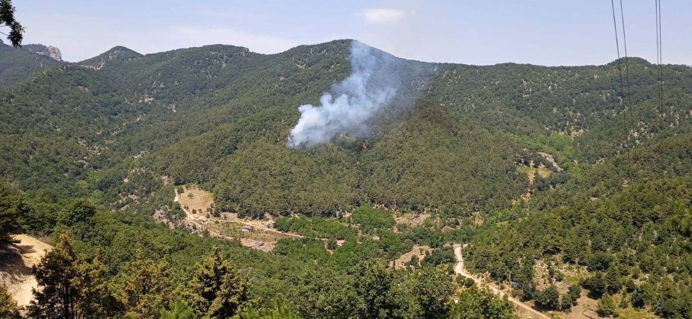 Hatayda orman yangını