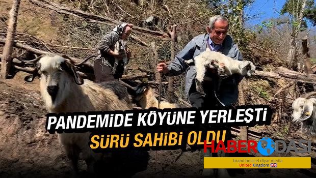 Pandemi sürecinde köyüne yerleşip sürü sahibi oldu