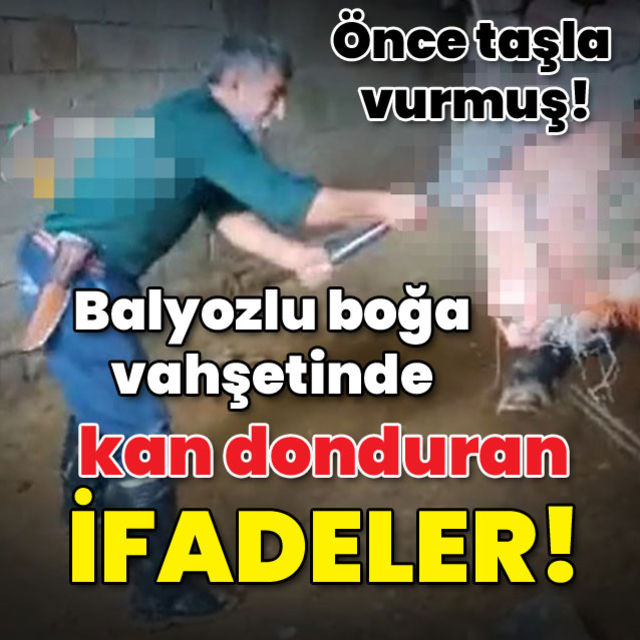 Dehşetin ifadesi ortaya çıktı Taş kırılınca balyozla vurmuş